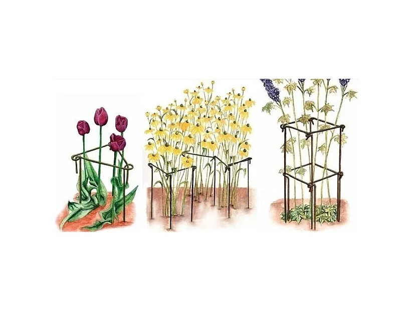 Support à plantes en acier (Lot de 6) 75 cm