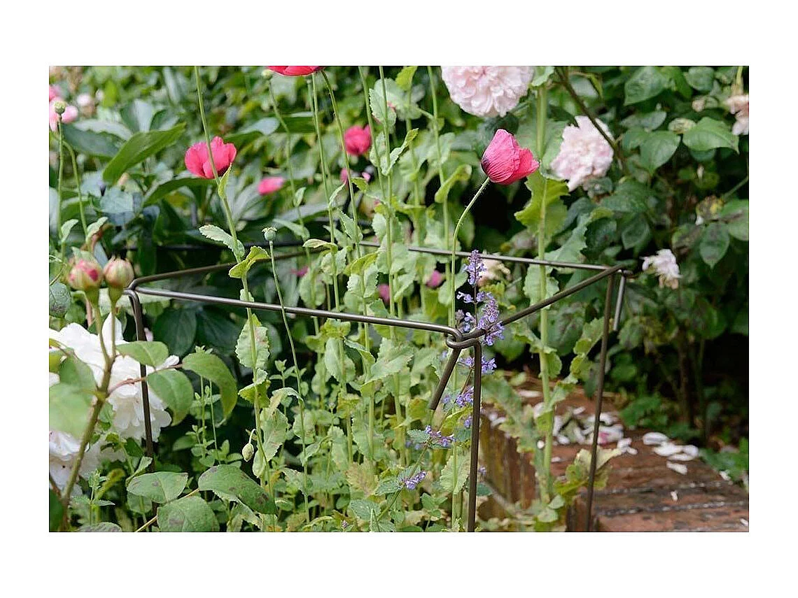 Pflanzenständer aus Stahl (6er-Set) 75 cm