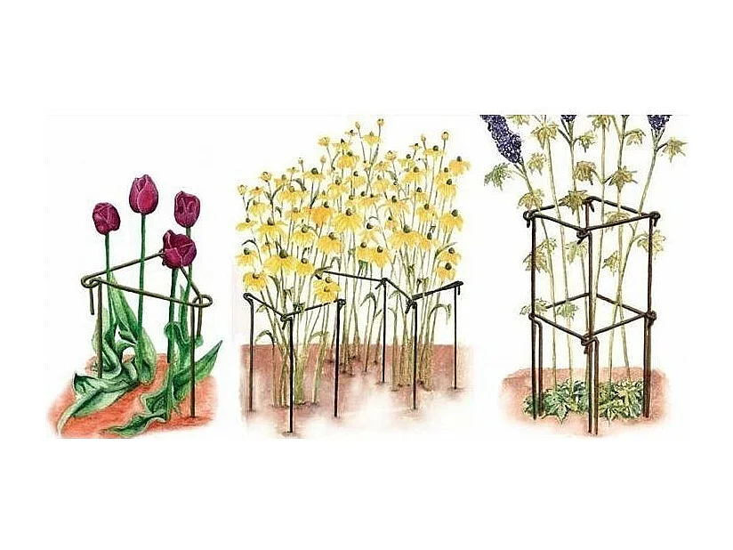 Support à plantes en acier (Lot de 6) 60 cm