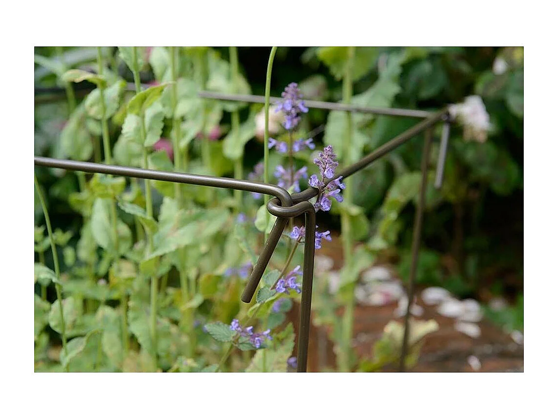 Support à plantes en acier (Lot de 6) 60 cm