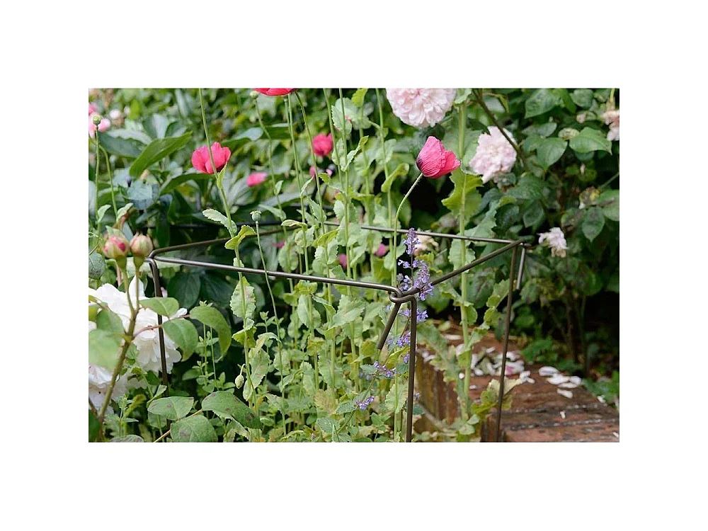 Support à plantes en acier (Lot de 6) 60 cm