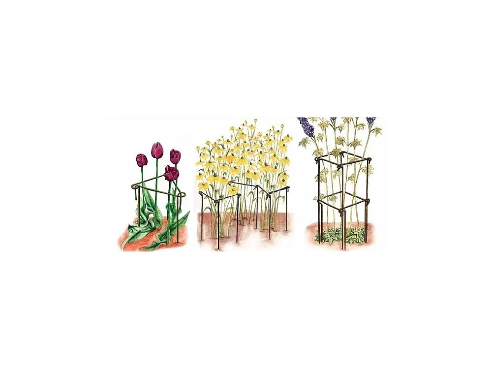 Support à plantes en acier (Lot de 6) 60 cm