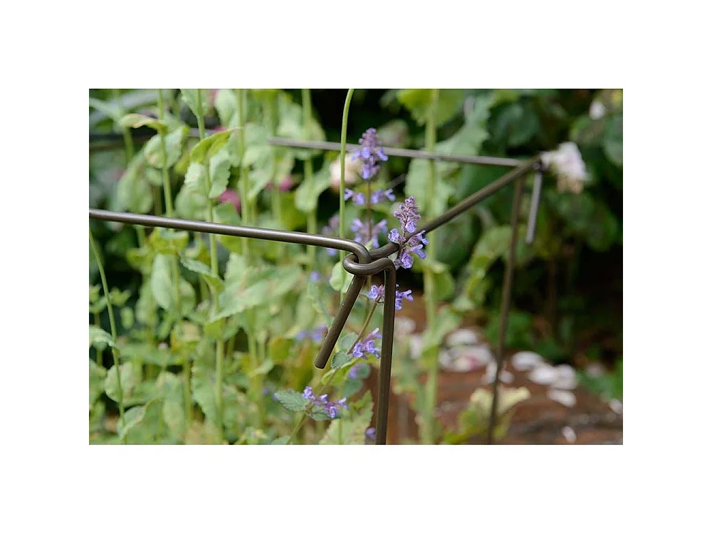 Support à plantes en acier (Lot de 6) 60 cm