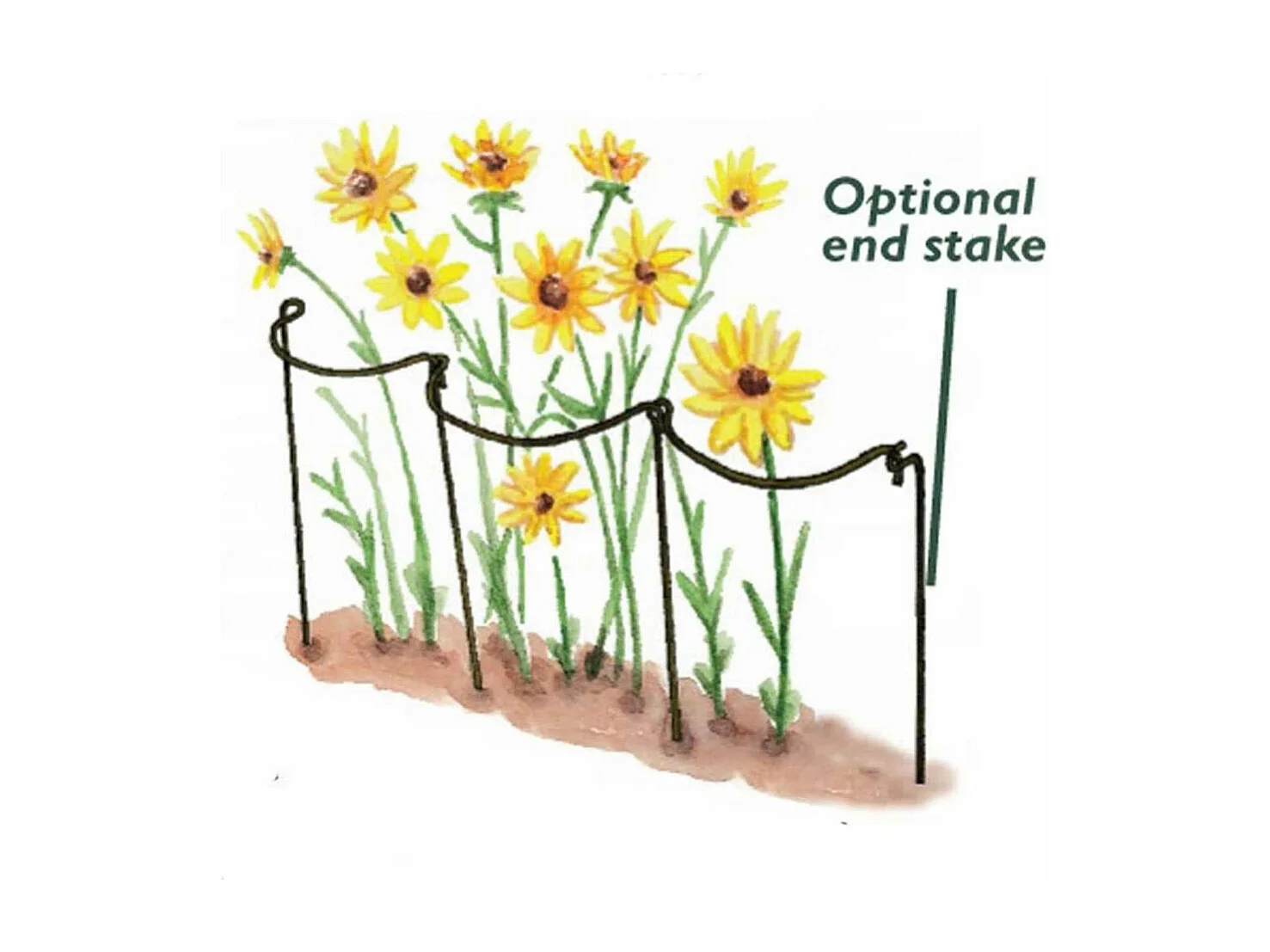 Support à plantes courbé en acier (Lot de 6)