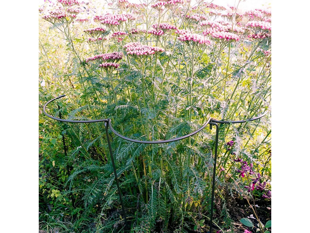 Support à plantes courbé en acier (Lot de 6)