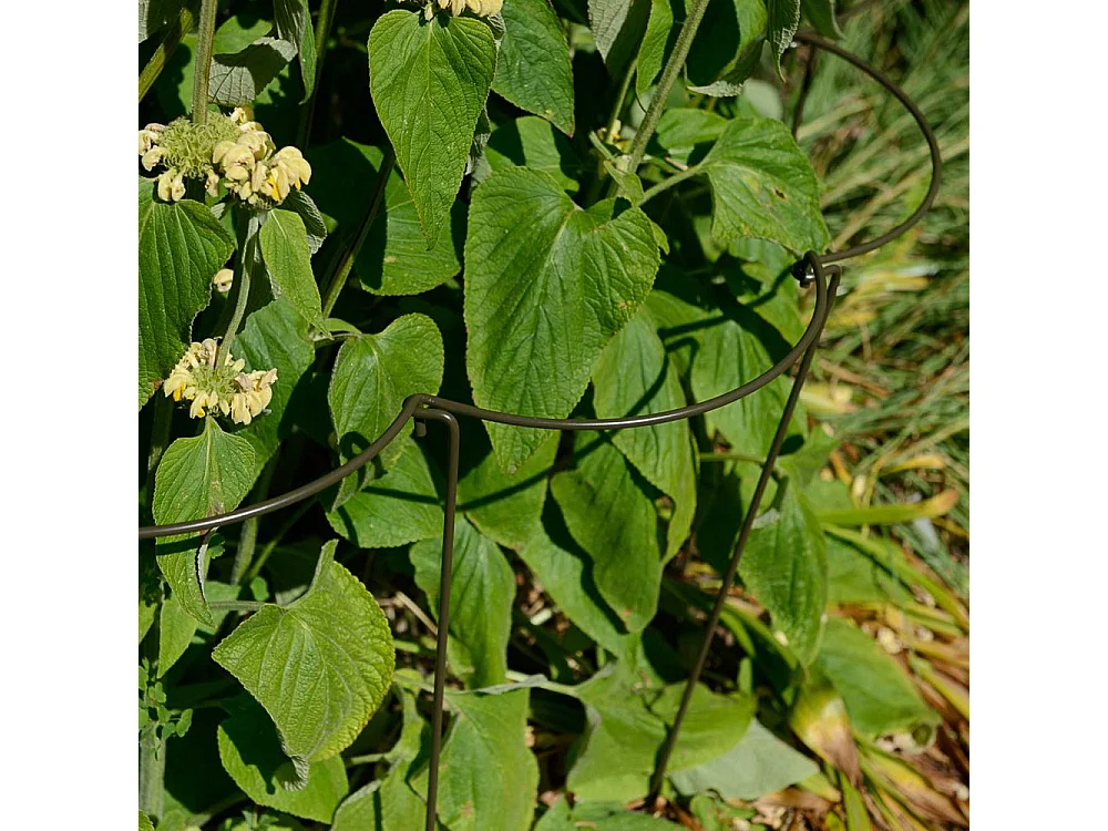 Support à plantes courbé en acier (Lot de 6)