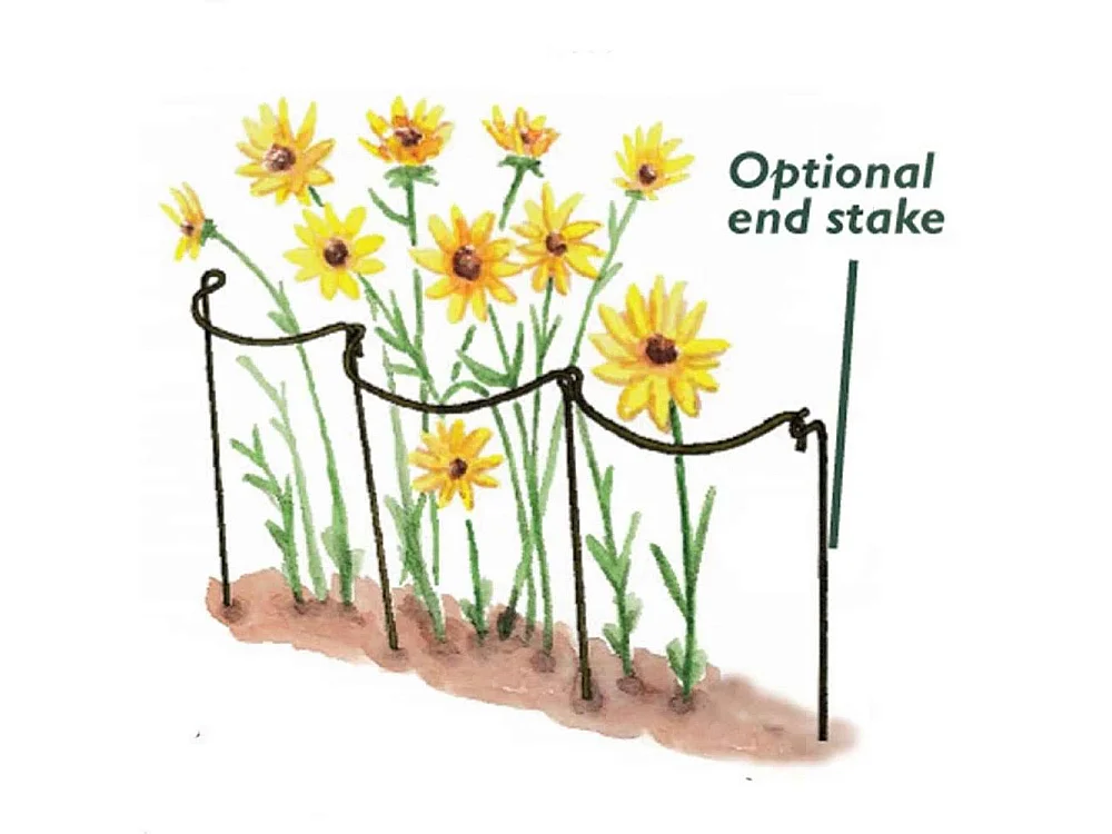 Support à plantes courbé en acier (Lot de 6)