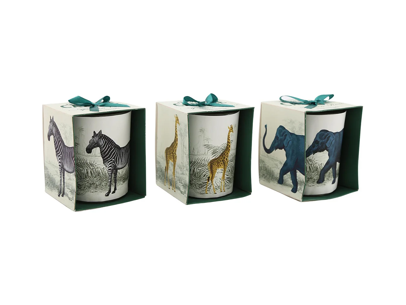 Bougie en pot Safari 8 x 10 cm (Lot de 3)