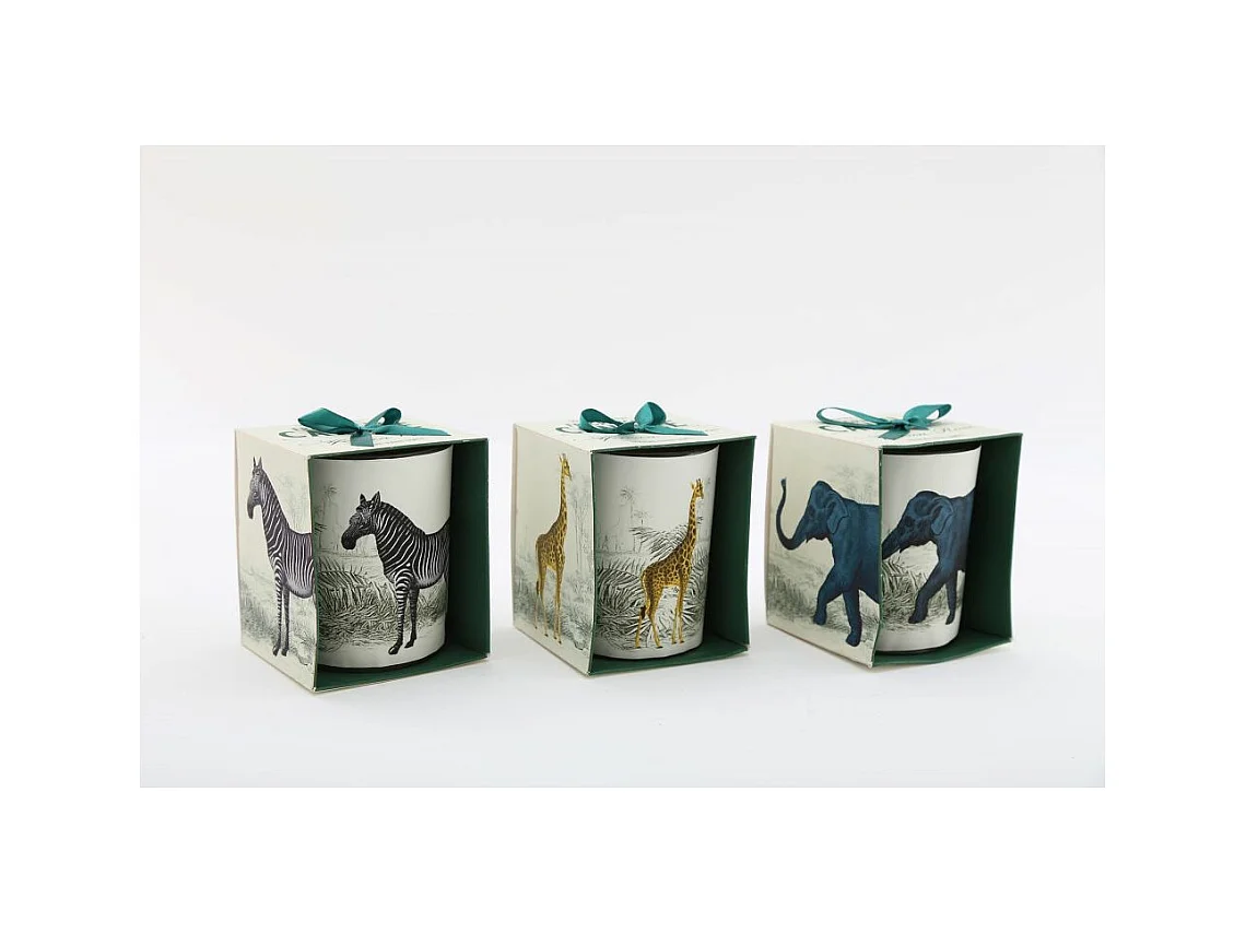 Bougie en pot Safari 8 x 10 cm (Lot de 3)