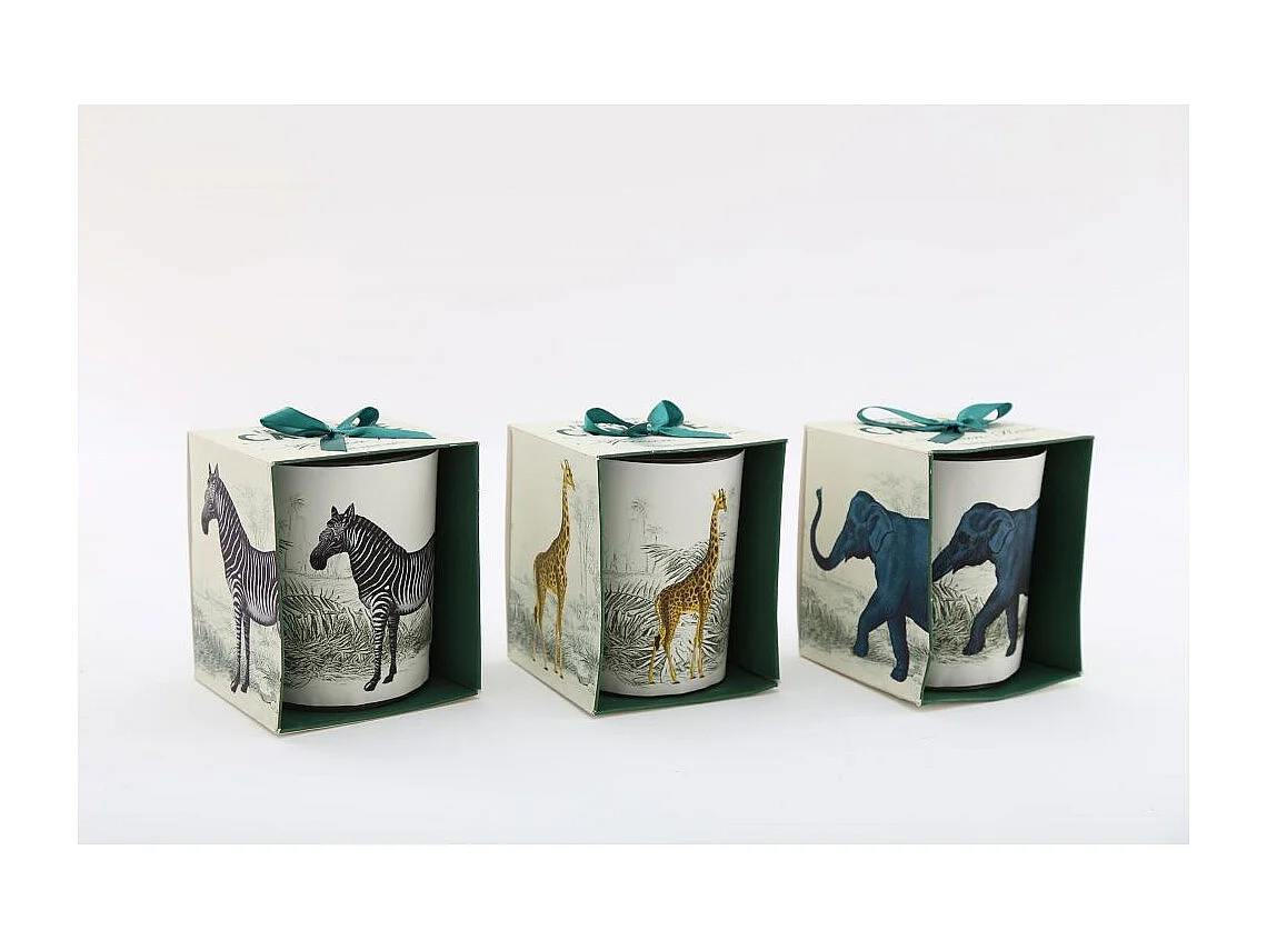 Bougie en pot Safari 8 x 10 cm (Lot de 3)