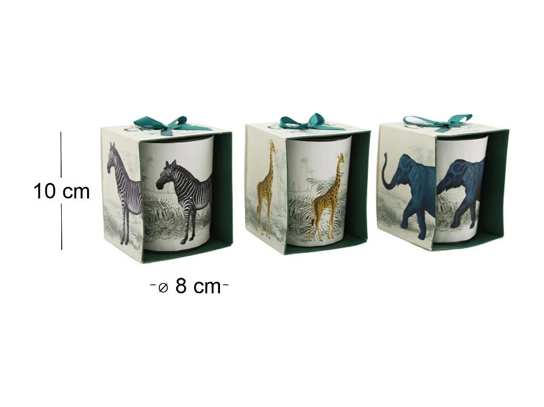 Bougie en pot Safari 8 x 10 cm (Lot de 3)