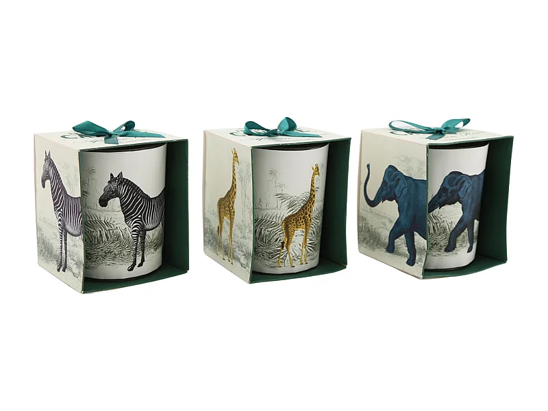 Bougie en pot Safari 8 x 10 cm (Lot de 3)
