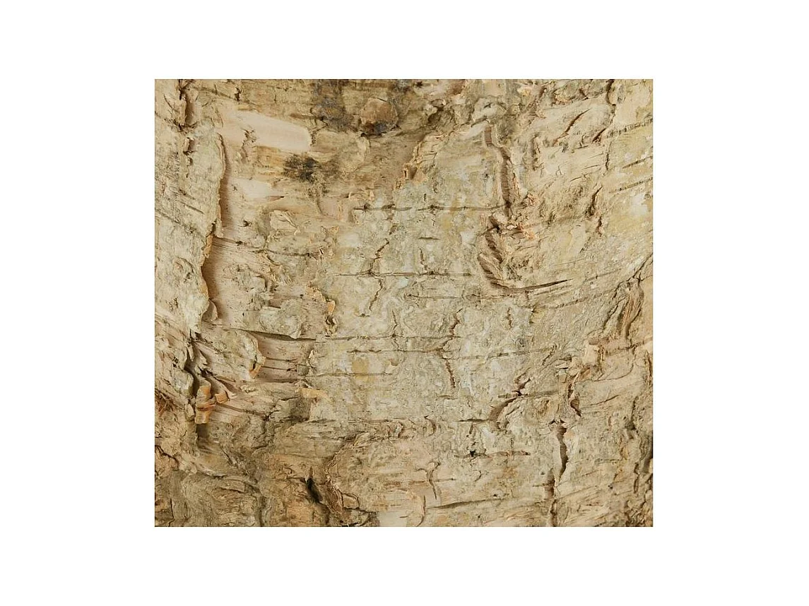 Photophore en bouleau et métal 4 bougies