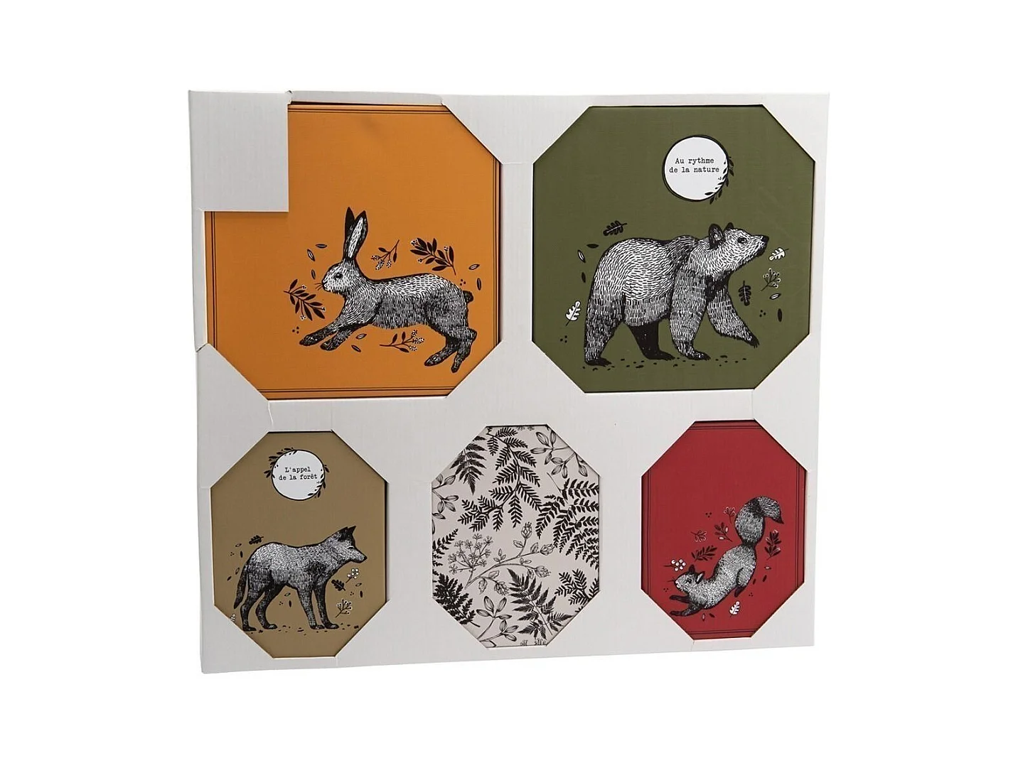 Set de 5 toiles colorées Animaux de la forêt