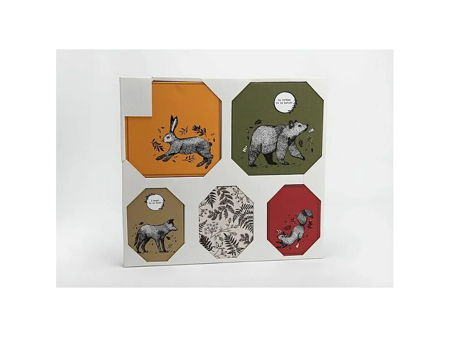 Set de 5 toiles colorées Animaux de la forêt