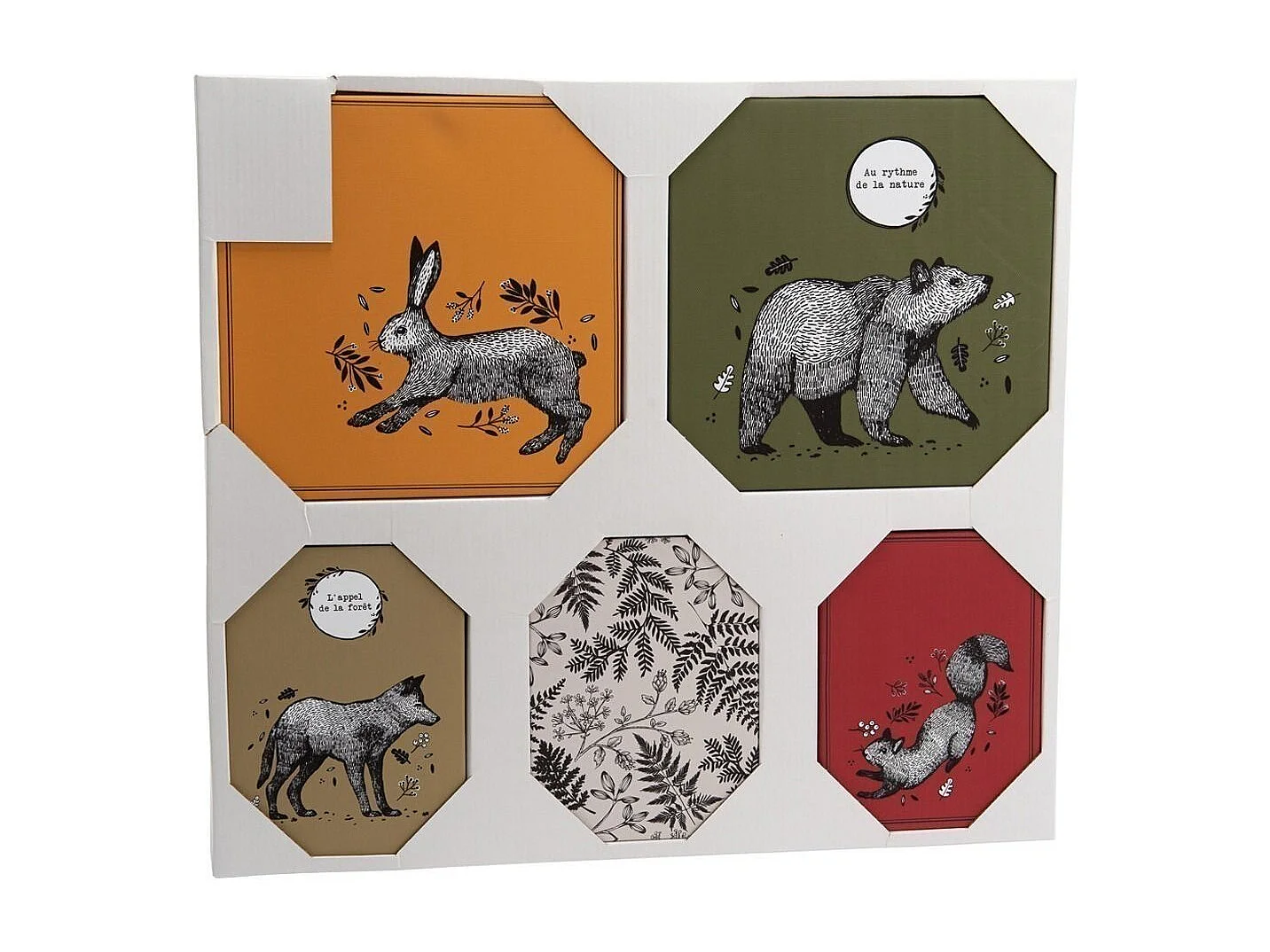 Juego de 5 lienzos de colores Animales del bosque