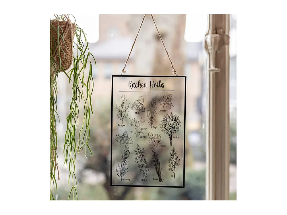 Erbe per la pittura su vetro