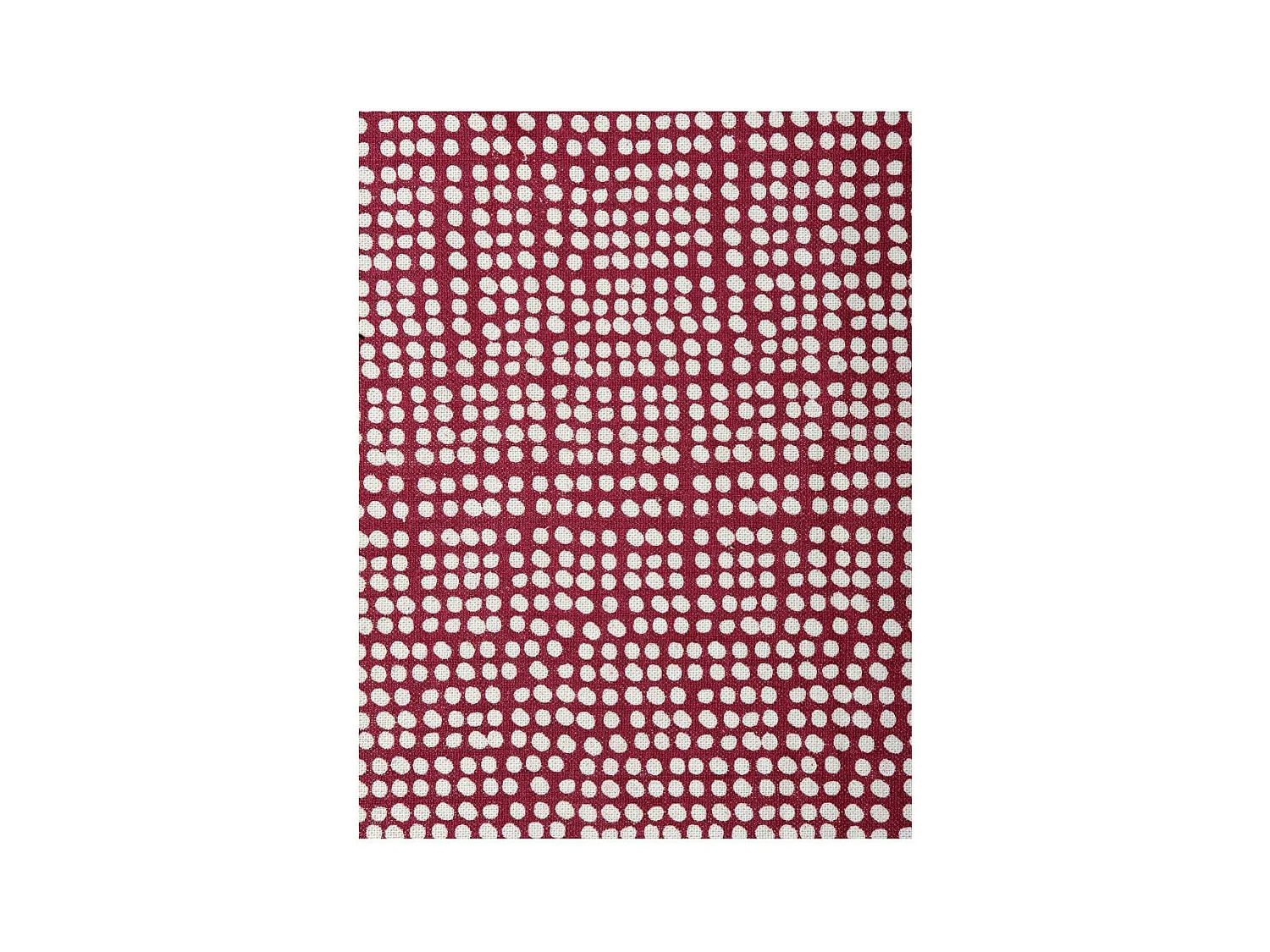 Küchentuch aus Baumwolle "Libellules" (2-stück)