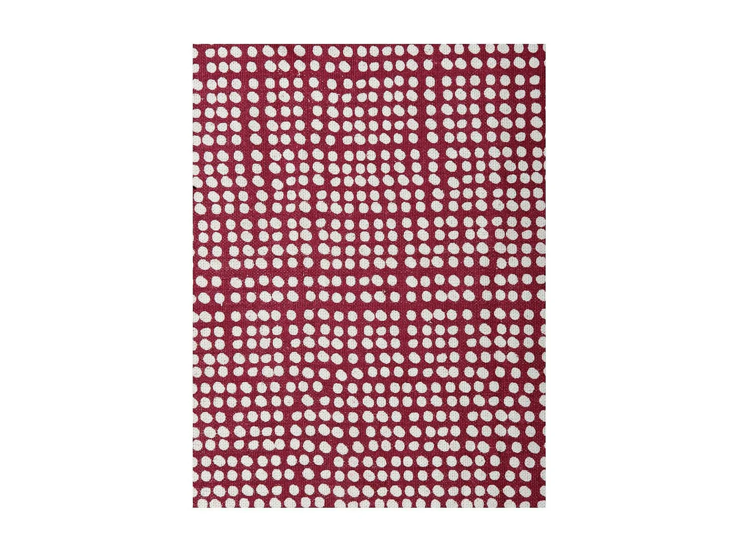 Küchentuch aus Baumwolle "Libellules" (2-stück)