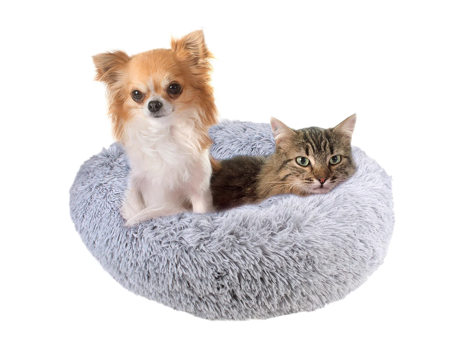 Coussin Lit Apaisant Chat Gris 60 Cm Gris