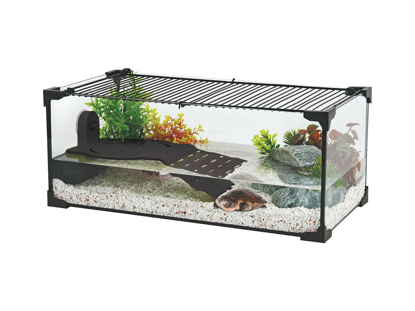 Kit terrarium tortue aquatique Karapas Pro