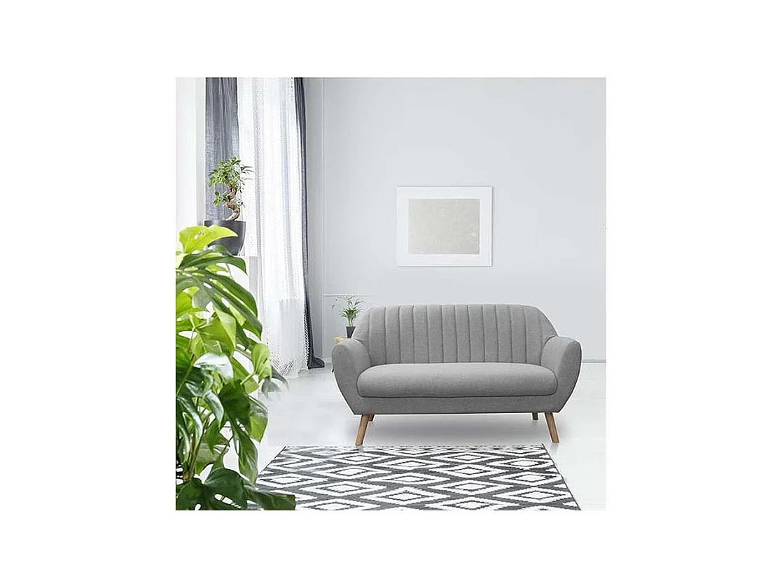Canape 2 Places Sofia Tissu Gris Gris