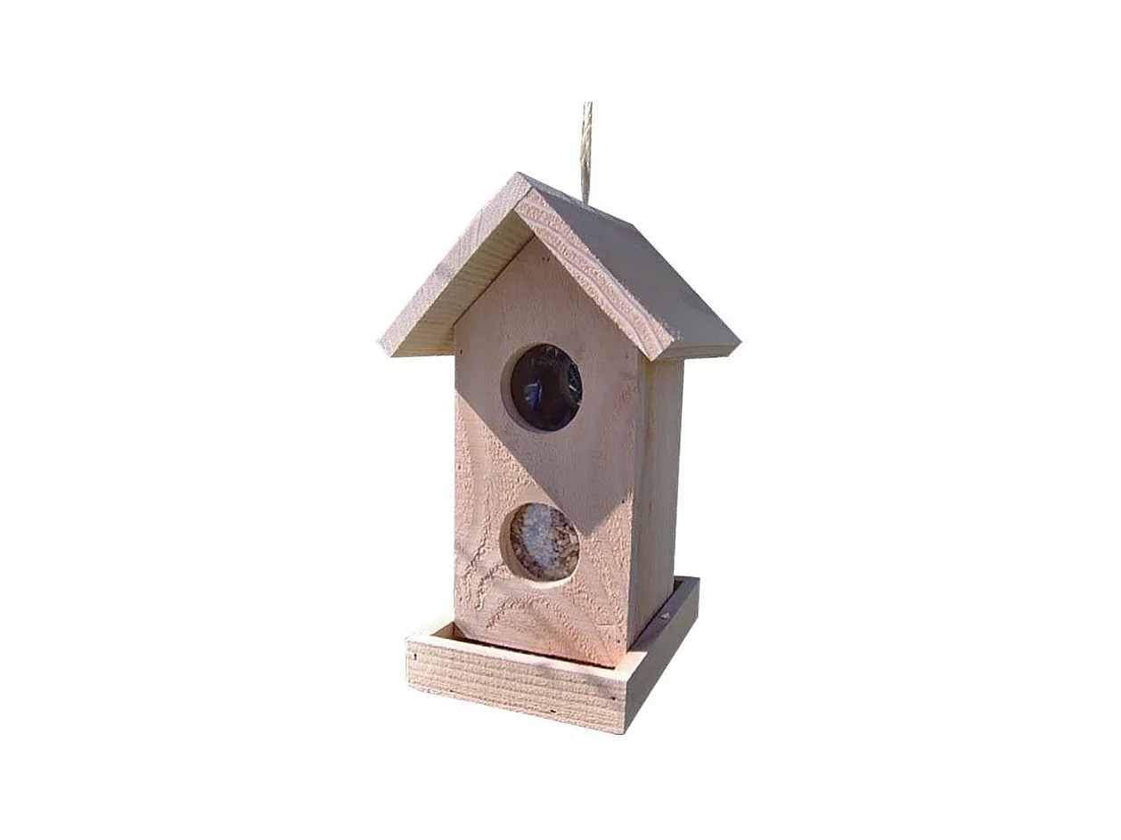 Abete di Douglas al di là di Le Hublot