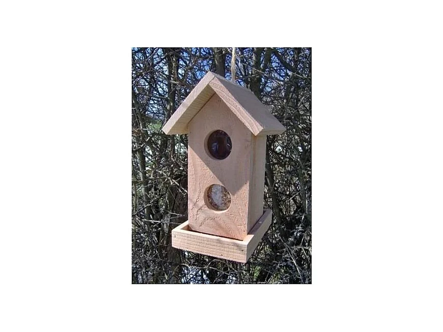 Abete di Douglas al di là di Le Hublot