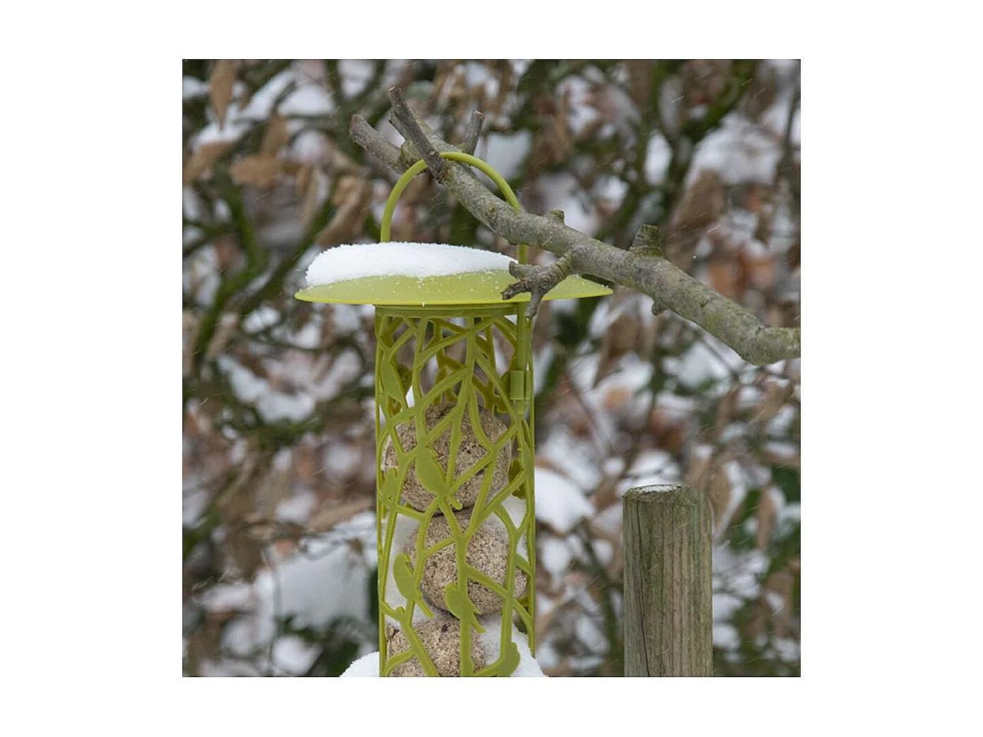 Mangeoire silo pour oiseaux Chiffchaff Pour boules de graisse