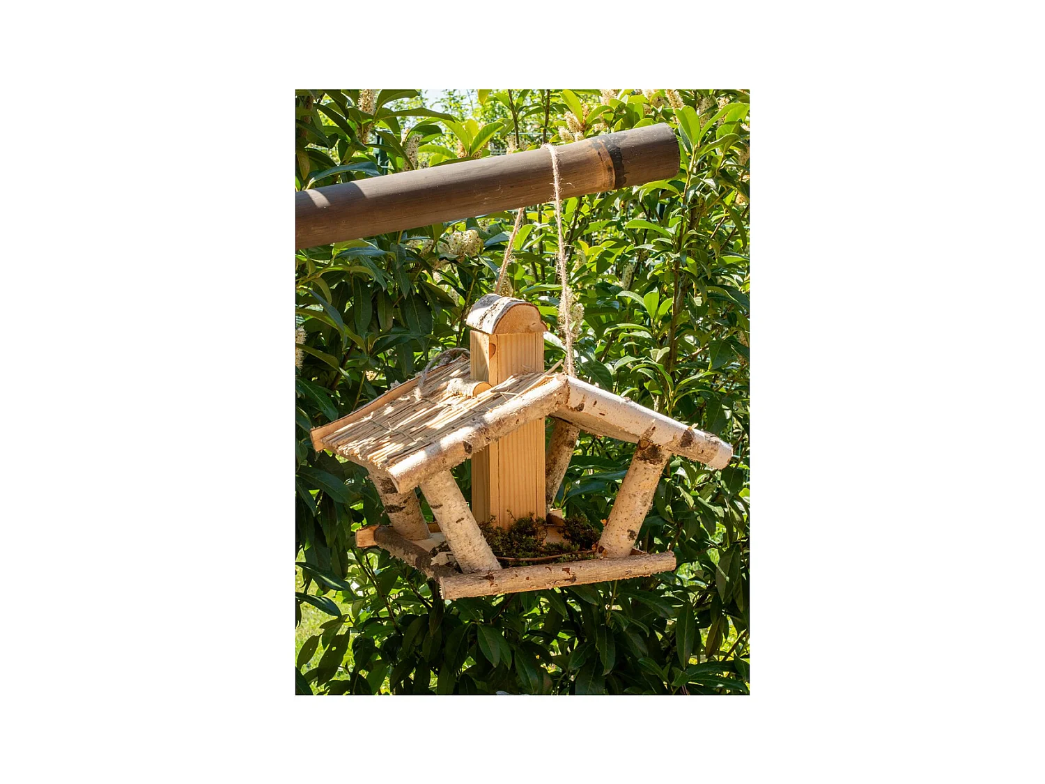 Mangeoire à oiseau en bouleau