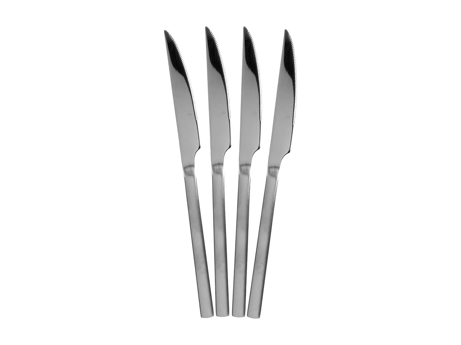 Menagere 16 Pieces Mat Shiny Inox Argent