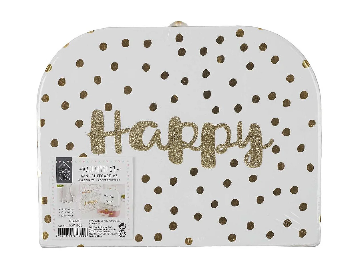 Valisette De Rangement Fille X3