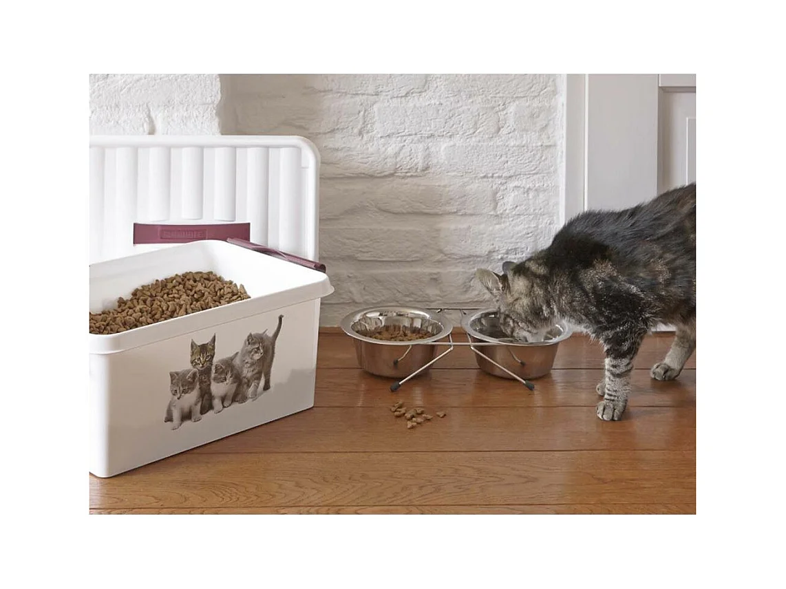 Boite Q-line motif animaux 15 litres