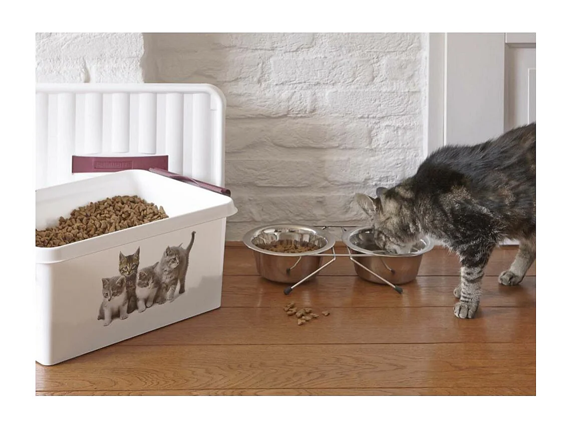 Boite Q-line motif animaux 15 litres