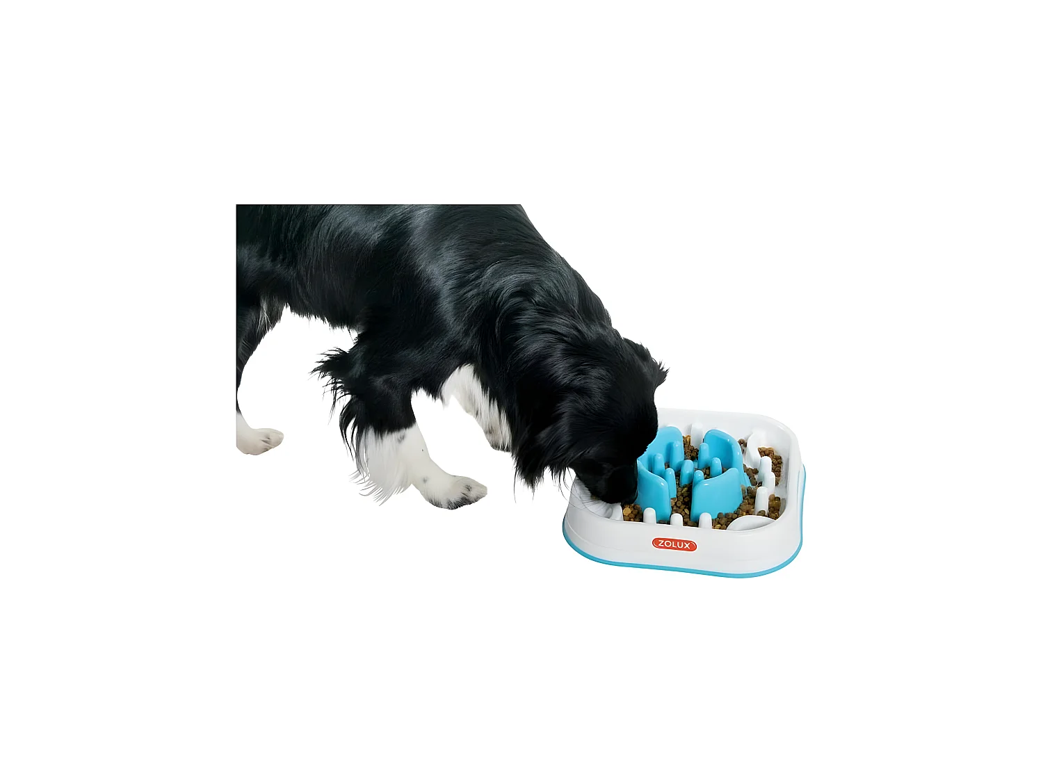 Napf gegen Vielfraß abnehmbare Mitte