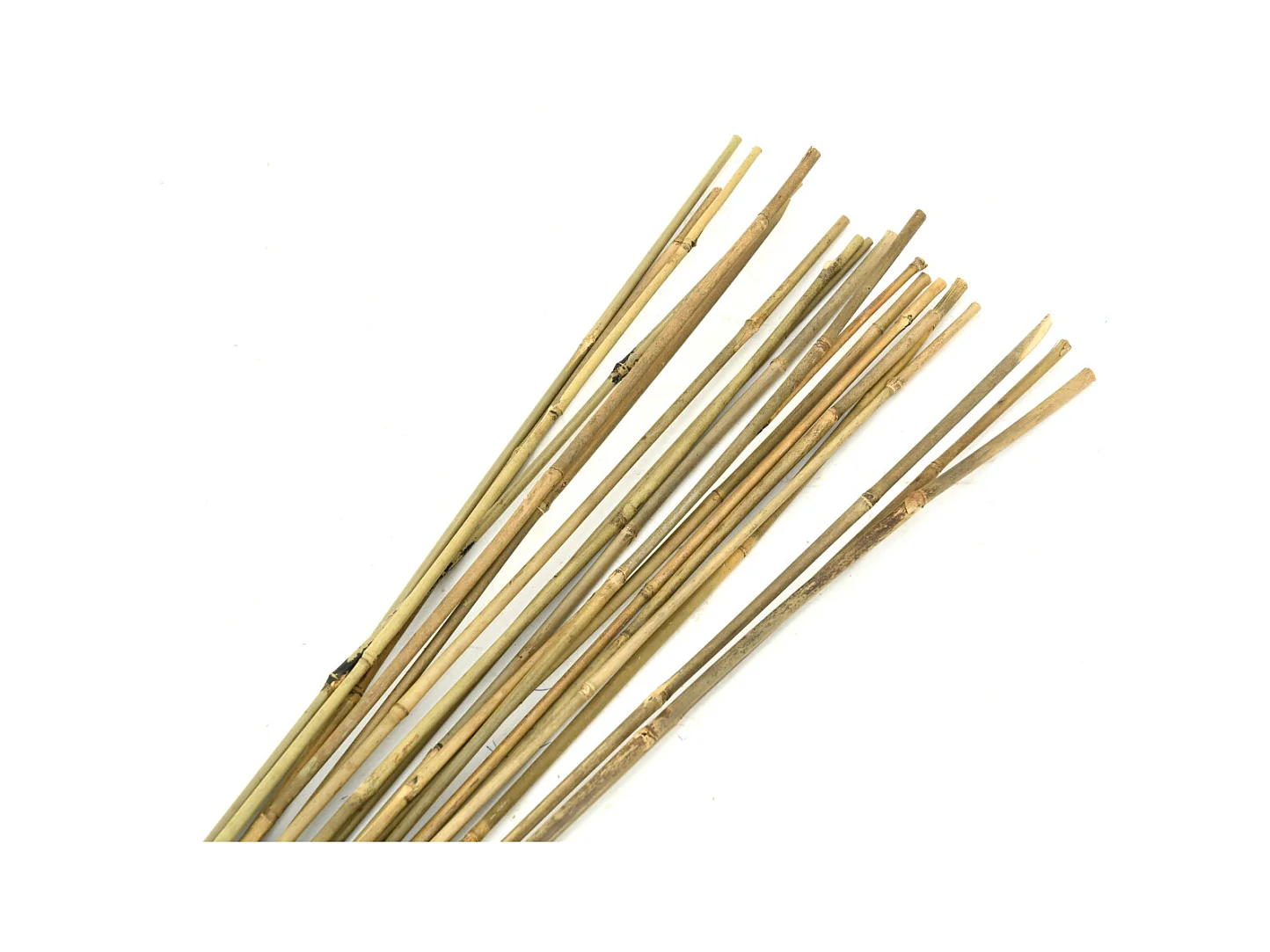 Tuteurs en bambou naturel (Lot de 20)