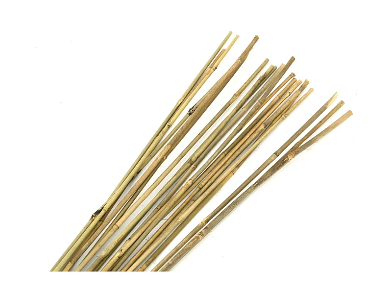 Tuteurs en bambou naturel (Lot de 20)