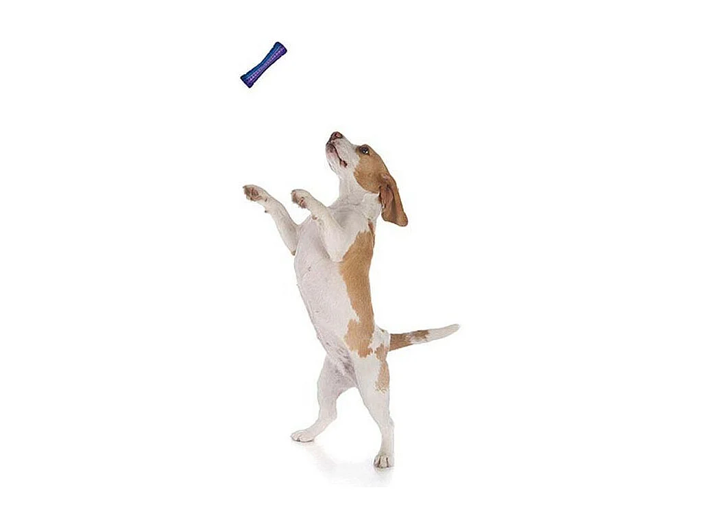 Stick chien en plastique coloré 15 cm (Lot de 3)