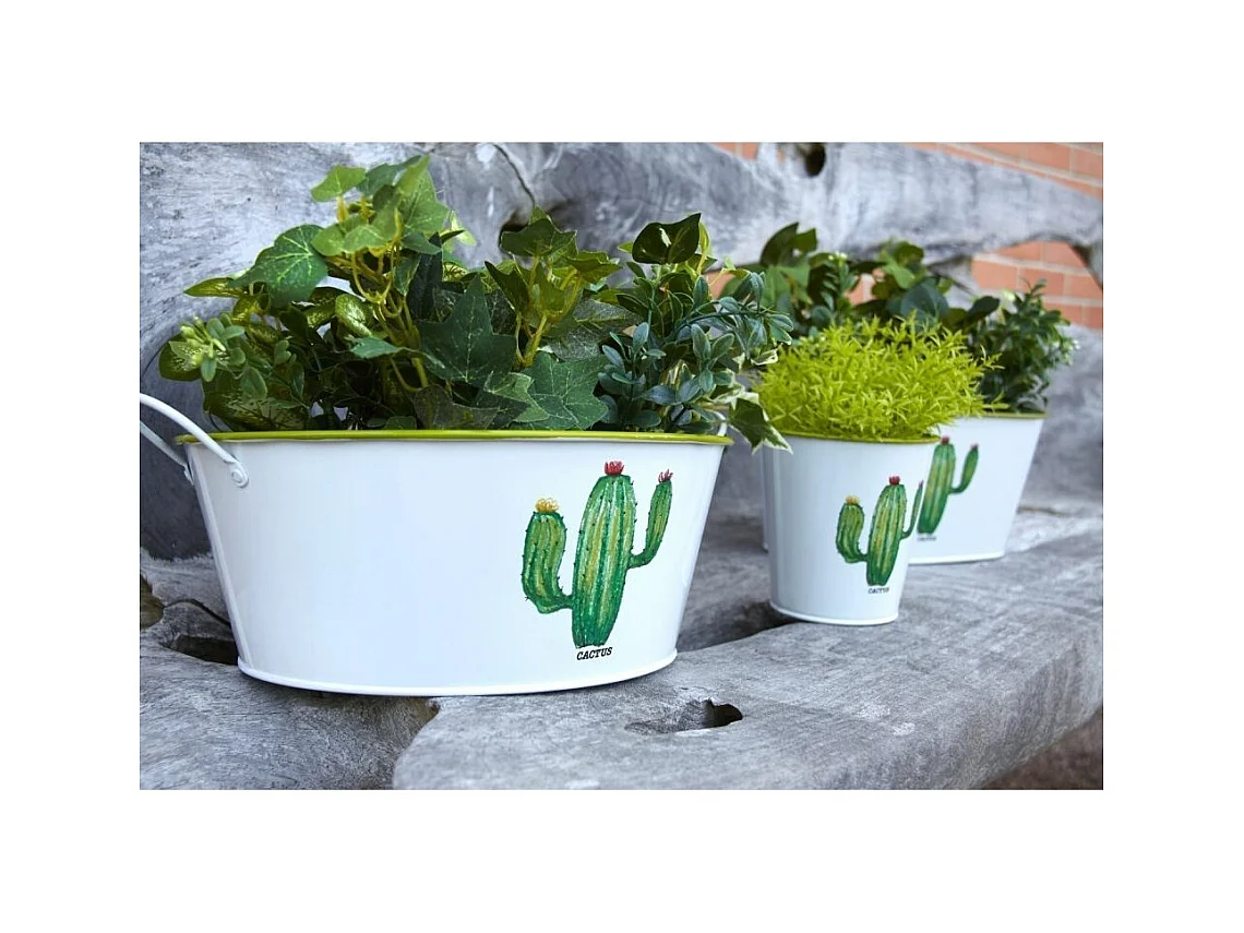 Corbeille ronde en métal laqué Cactus