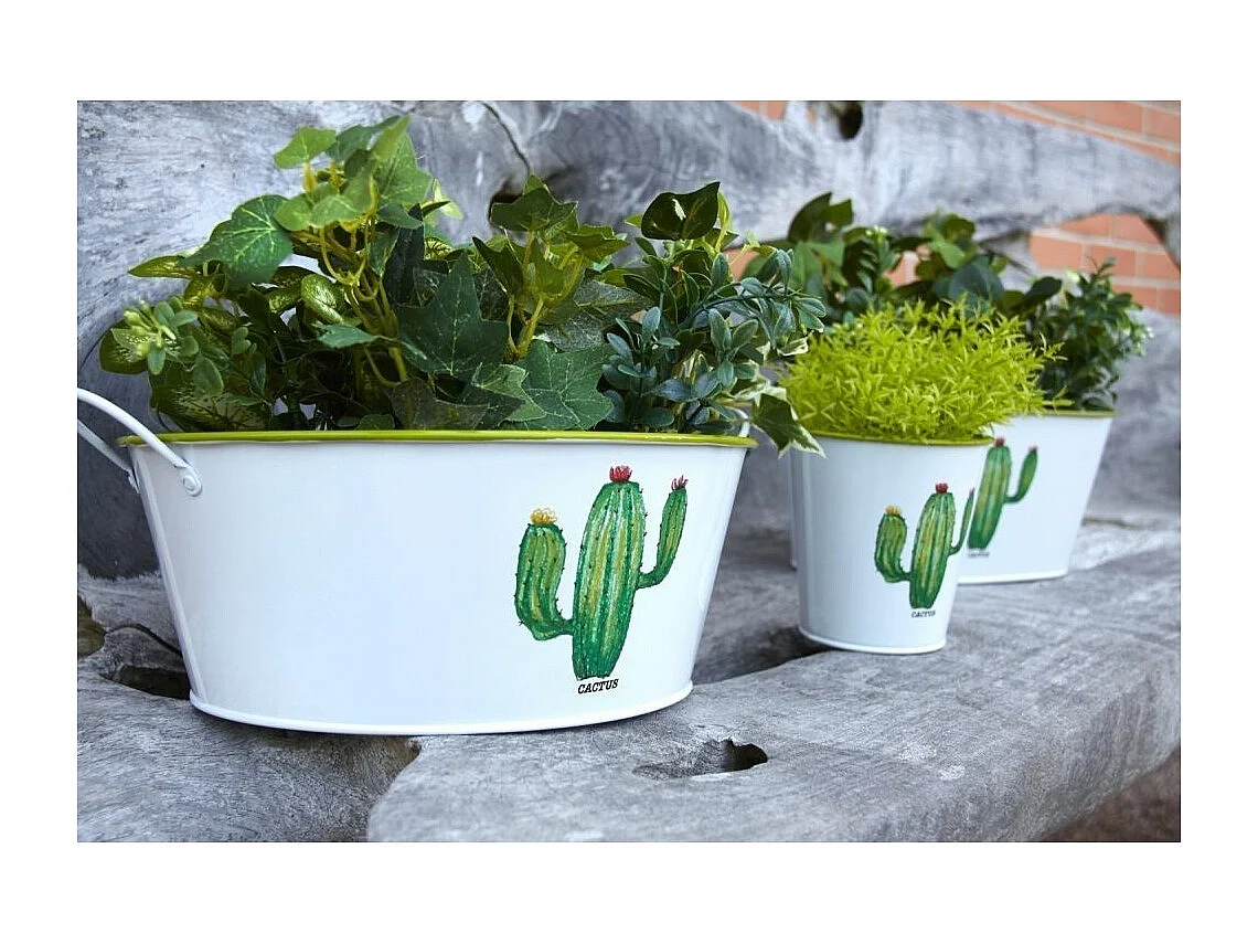 Corbeille ronde en métal laqué Cactus