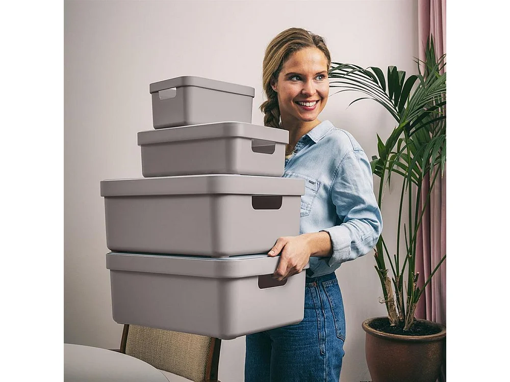 Boite de rangement Sigma home Box 32 L