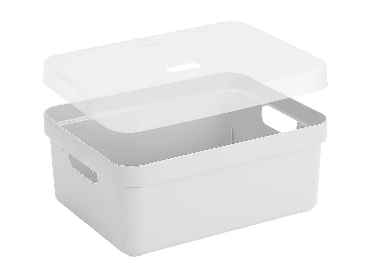 Boite de rangement avec couvercle transparent Sigma home Box 24L