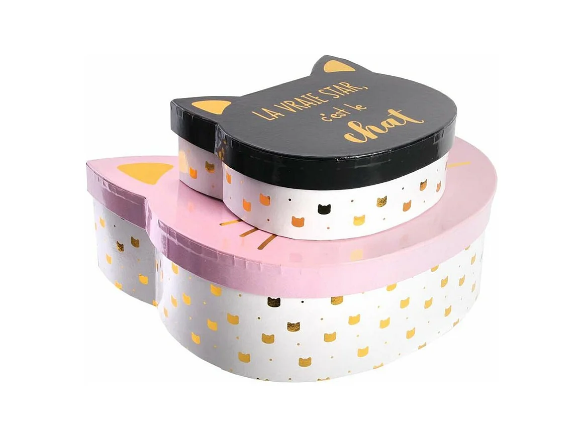 Lot de 2 Boîtes de Rangement "Chat" 25cm Rose