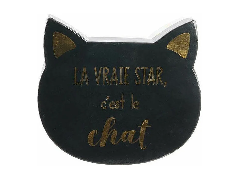 Lot de 2 Boîtes de Rangement "Chat" 25cm Rose