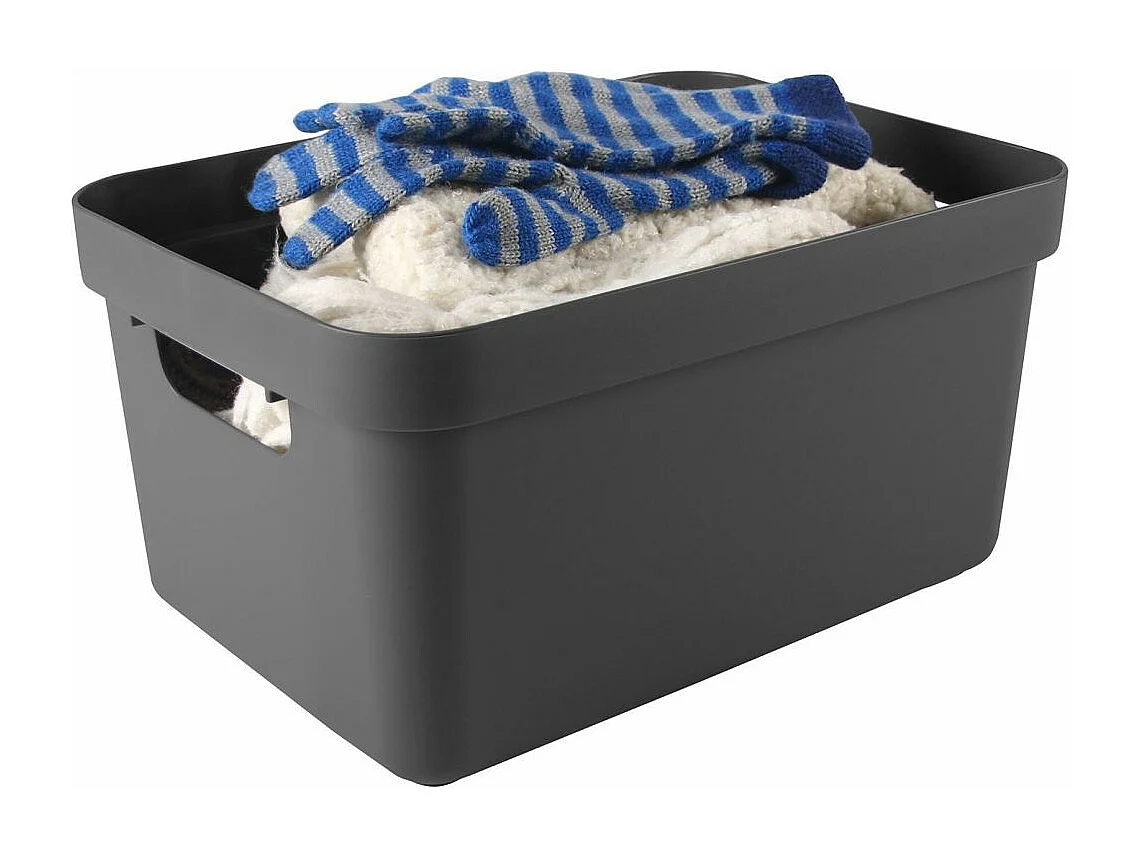 Boite de rangement avec couvercle transparent  Sigma Home Box 13 L