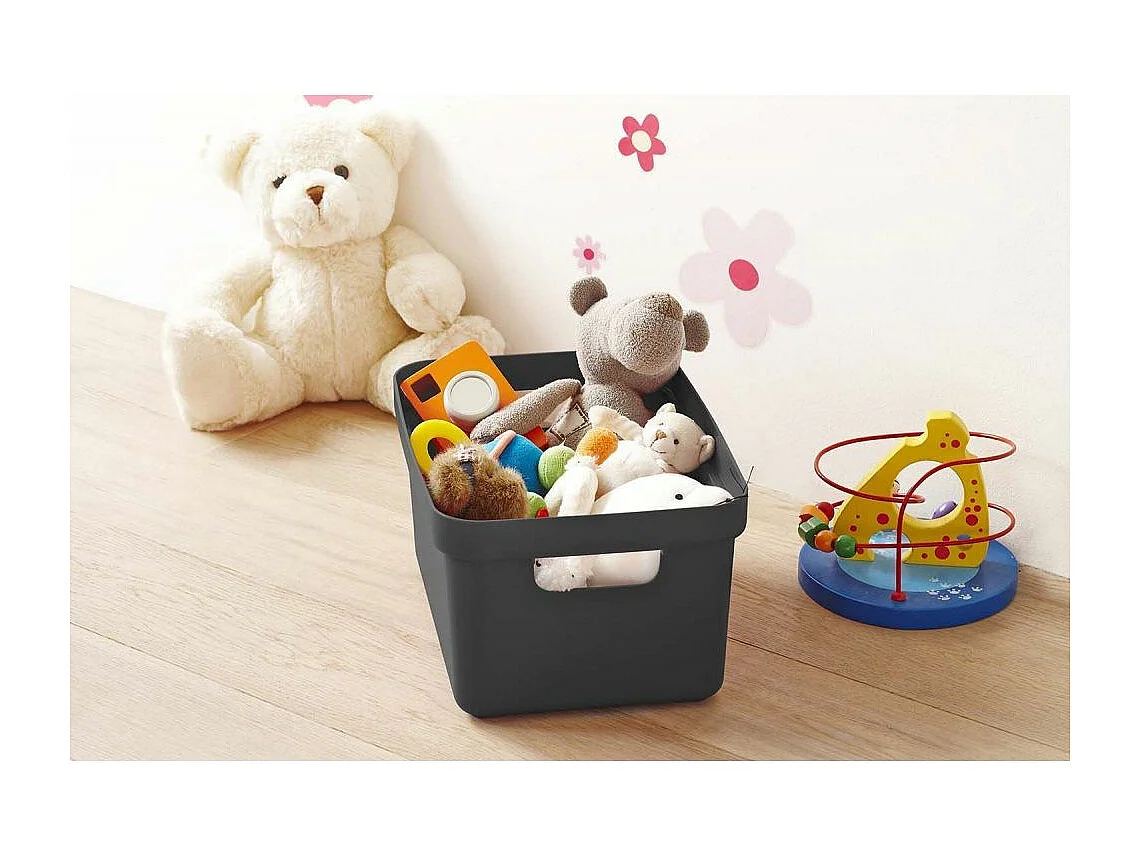 Boite de rangement avec couvercle transparent  Sigma Home Box 13 L