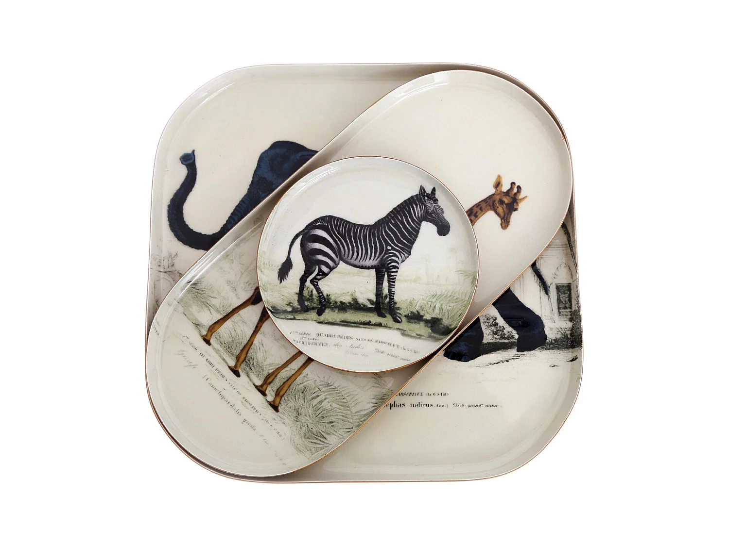 Juego de 3 contenedores metálicos Safari