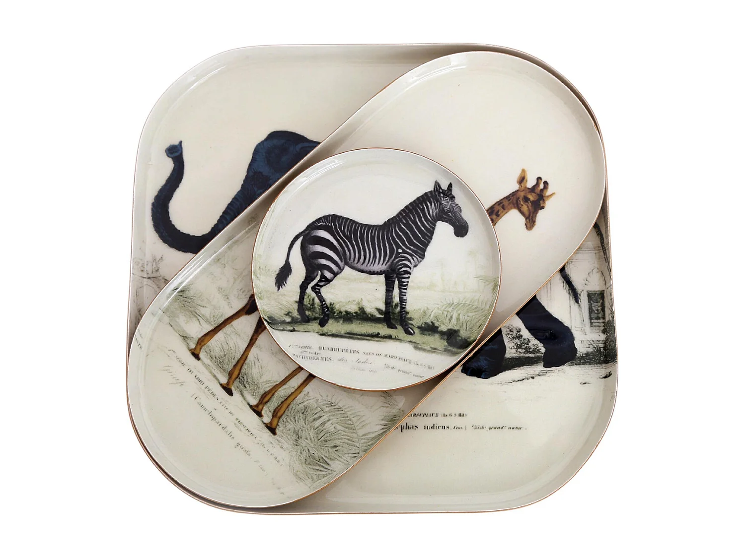 Juego de 3 contenedores metálicos Safari