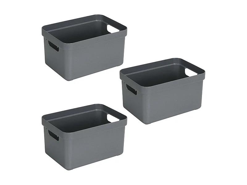 Boite de rangement Sigma Home Box 13 L  (Lot de 3)