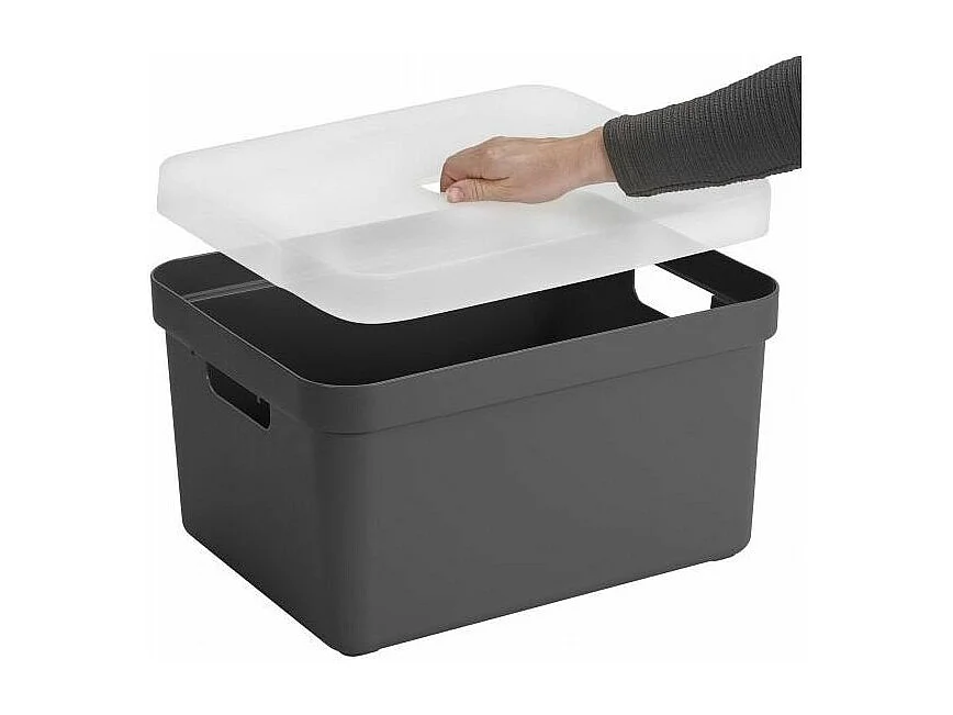 Boite de rangement avec couvercle transparent Sigma home Box 32 L